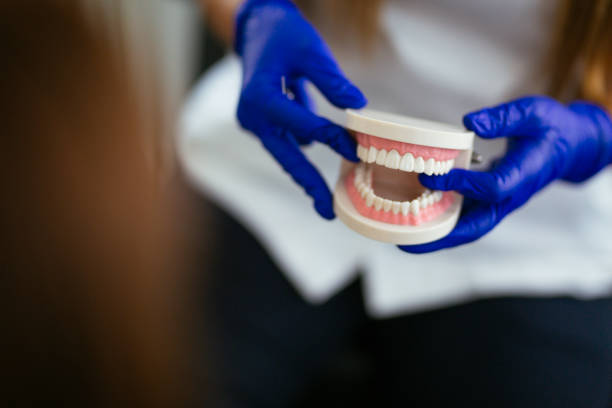  South Euclid, OH Holistic Dental Services Pros